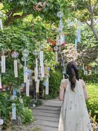 【奈良】風鈴まつり&情緒溢れる今井町巡り