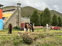  🏔️ Escape to the Last Shangri-La — Daocheng Yading (稻城亚丁)
