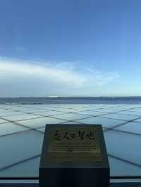 🖼️ 横須賀美術館 — 海と緑に抱かれた絶景アート空間