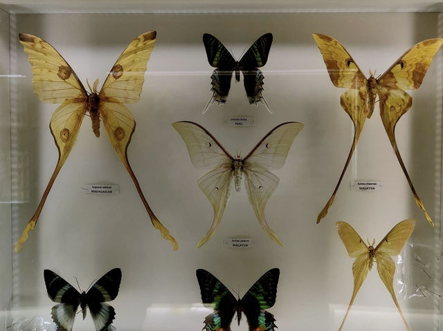 A Magical Day at Entopia, Penang 
