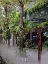 34 Tropical