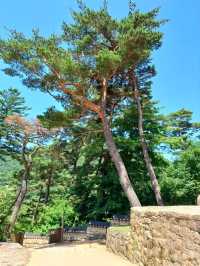 세계기록유산의 숨결