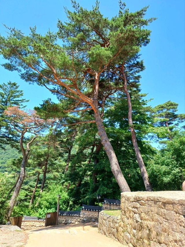 세계기록유산의 숨결