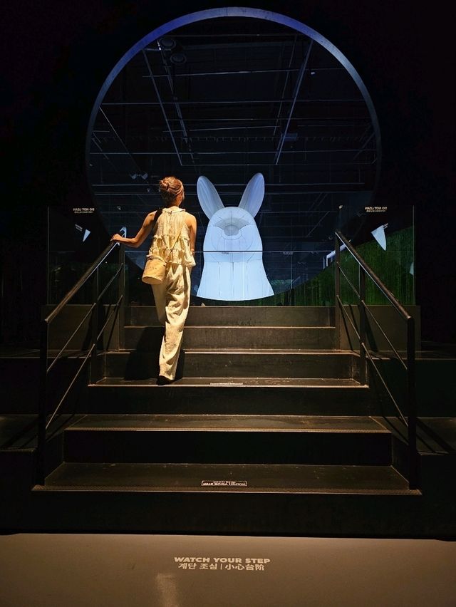 光と風が織りなす空間美。五感で感じる済州の“永遠の自然”🌿🎶