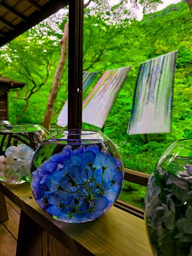 色の魔法に包まれて──光と水が奏でる、嵐山の異空間🎨✨
