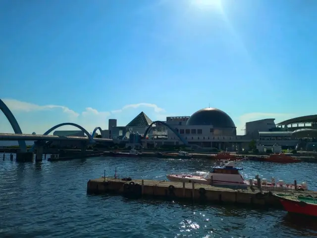名古屋港水族館