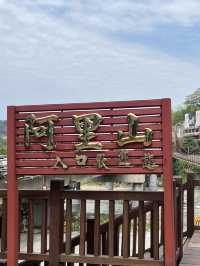 🌲 Alishan Entrance & Hanging Bridge – Gateway to Taiwan’s Forest Wonder