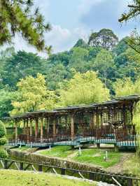 Whispers of Water: A Serene Pause in the Garden
