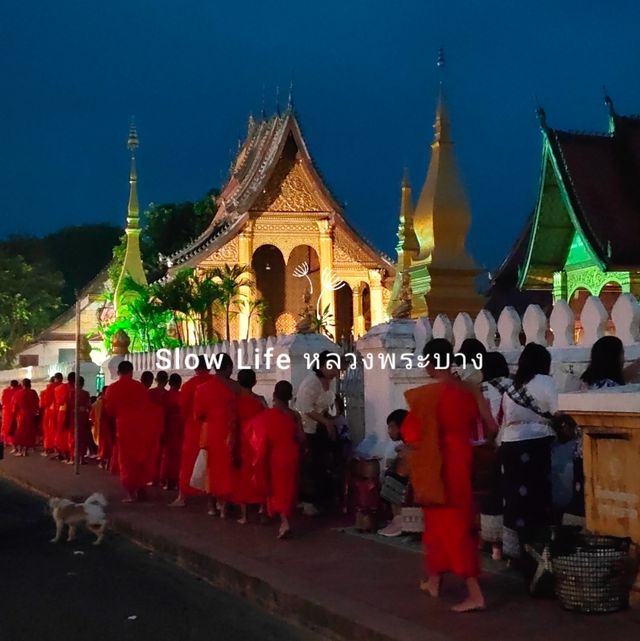 Slow life หลวงพระบาง  vs  Adventure วังเวียง ลาว