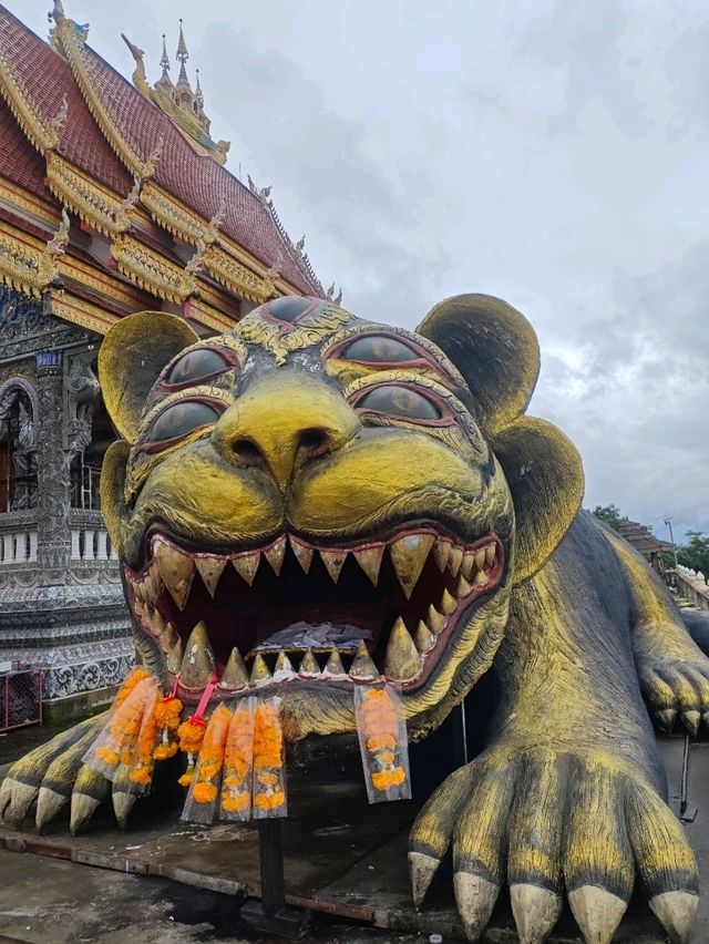 タイ北部は魅力がいっぱい‼️