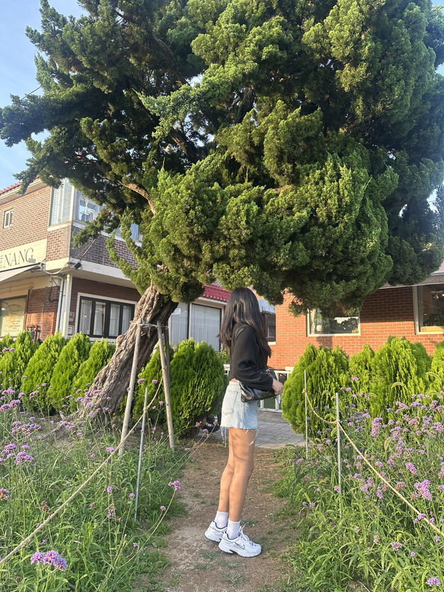 수원화성 산책 후, 감성 카페 한 잔 어때요?🌸☕