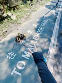又健康又可以影相裝逼 仲唔去？｜新手爬山攻略｜香港千島湖