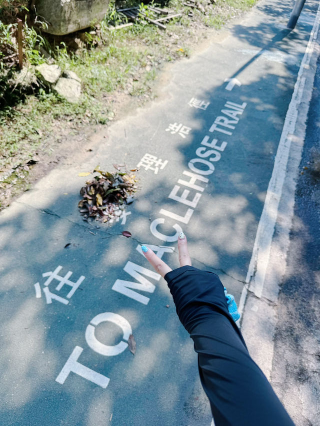 又健康又可以影相裝逼 仲唔去？｜新手爬山攻略｜香港千島湖