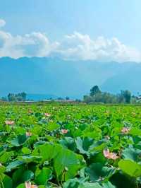 🌿 Hidden Gems of Kashmir – Beyond the Usual! ❄️🏔️