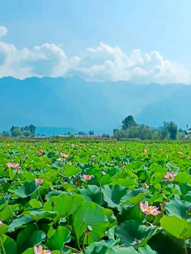 🌿 Hidden Gems of Kashmir – Beyond the Usual! ❄️🏔️
