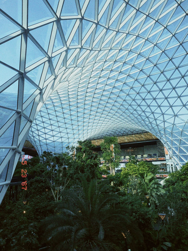 Layover at Hamad International Airport, Doha Qatar