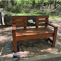 Falls of the Ohio State Park – "Where Fossils, River Views, and History Collide"