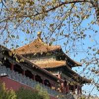 Forbidden City (Beijing)