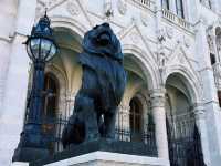 The Hungarian Parliament Building