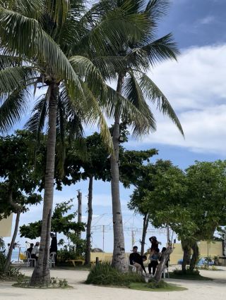 🏝️ Cebu Nalusuan Island, where sand and sea meet 🌊