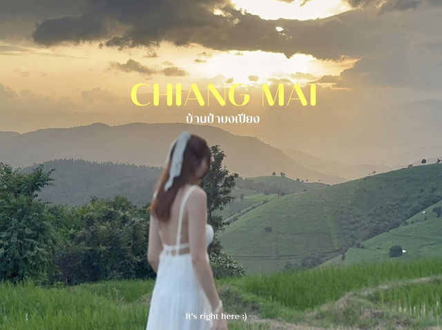 บ้านป่าบงเปียง เชียงใหม่ 🌾💚 บ้านป่าบงเปียง เชียงใหม่ 🌾💚