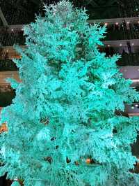 ✨ 丸の内クリスマス記録と2025 予測: 花と光の饗宴からマリオと共に彩る冬へ