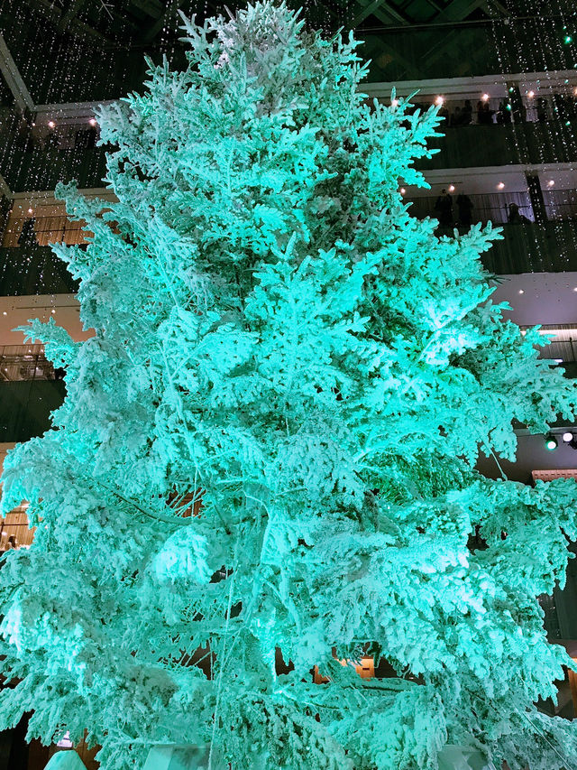 ✨ 丸の内クリスマス記録と2025 予測: 花と光の饗宴からマリオと共に彩る冬へ