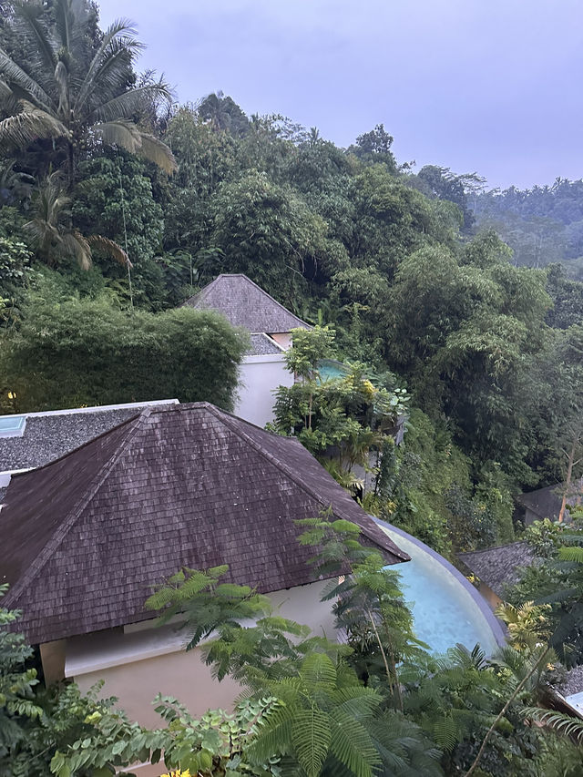 🌿 우붓 감성 200% – Cicada Resort 🌿