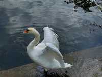 【緑と芸術が調和する癒しの空間】ワジェンキ公園🌳🎶