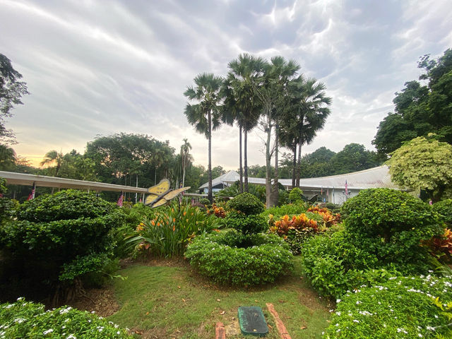 Laman Bromeliad at Taman Botani Putrajaya – A Tropical Gem in the Heart of Malaysia’s Botanical Gard