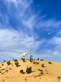 Popular Activities in The Keila Meili Desert Park