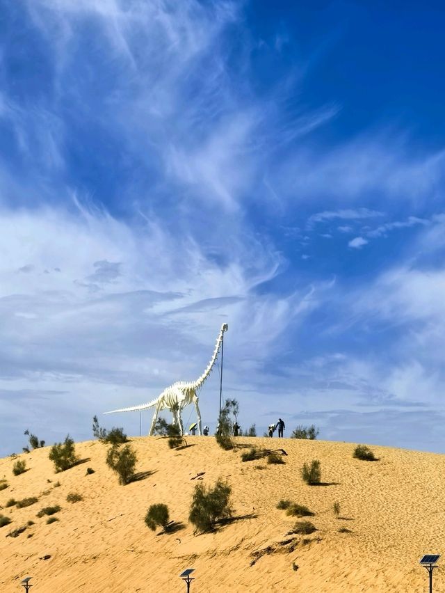 Popular Activities in The Keila Meili Desert Park