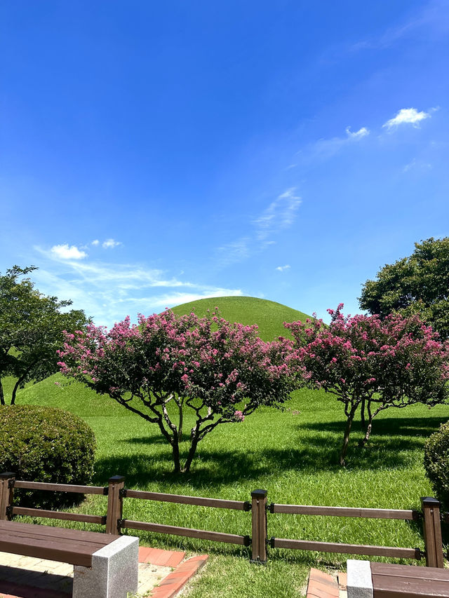 여름 경주 꼭 가야할 핫스팟 🌺🩷