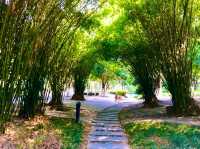 Xiuhu Park: The Heart of Yiwu’s City Life