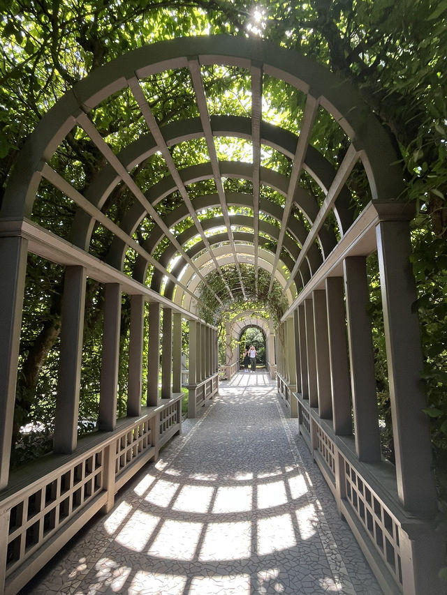🇳🇿紐西蘭必訪 · 漢米爾頓花園｜一座活的園林藝術博物館 🌿✨
