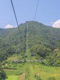 자연과 음악과 영화가 있는 아름다운 제천 여행 코스🌿