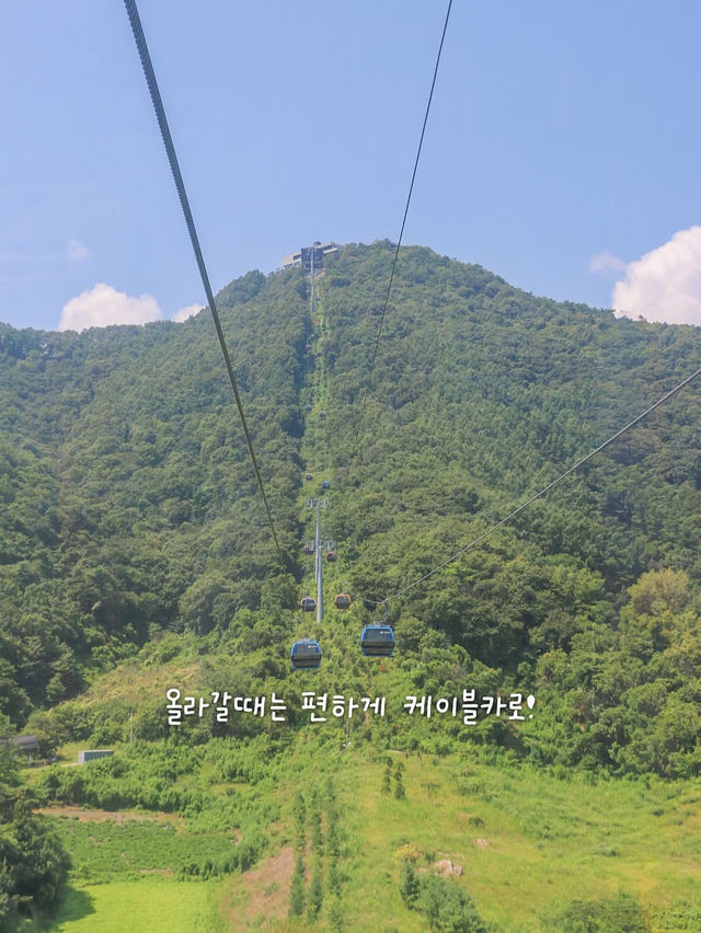 자연과 음악과 영화가 있는 아름다운 제천 여행 코스🌿