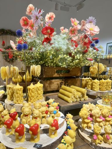 スロバキア・ブラチスラバ】はちみつの魅力が詰まった専門店「Medový