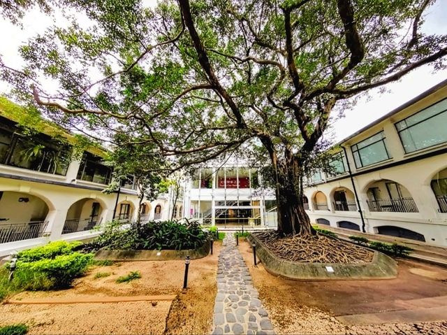 香港 | 香港文物探知館：來場時空大冒險！