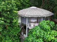 รีวิวที่พักบนเกาะยาวน้อยTreeHouse Villas