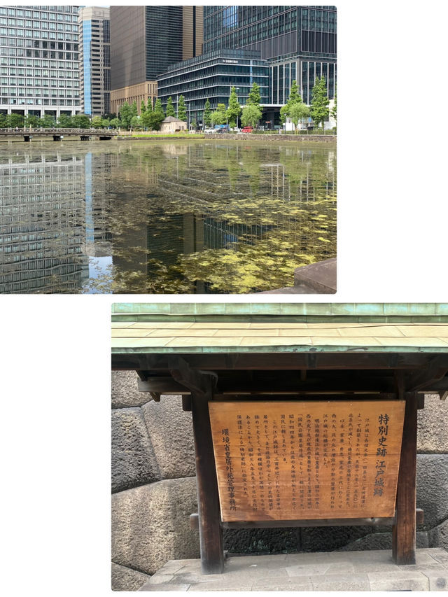 【東京都🇯🇵和田倉噴水公園】皇室のご結婚記念に整備された公園