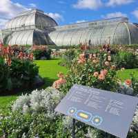 Kew Gardens (큐 가든, Royal Botanic Gardens)