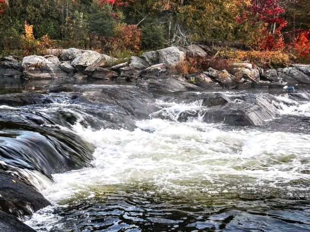 Algonquin Provincial Park Algonquin Provincial Park