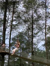 The Orchid Forest Cikole, Bandung 🌲✨
