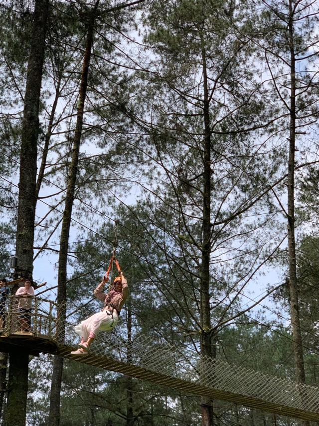 The Orchid Forest Cikole, Bandung 🌲✨