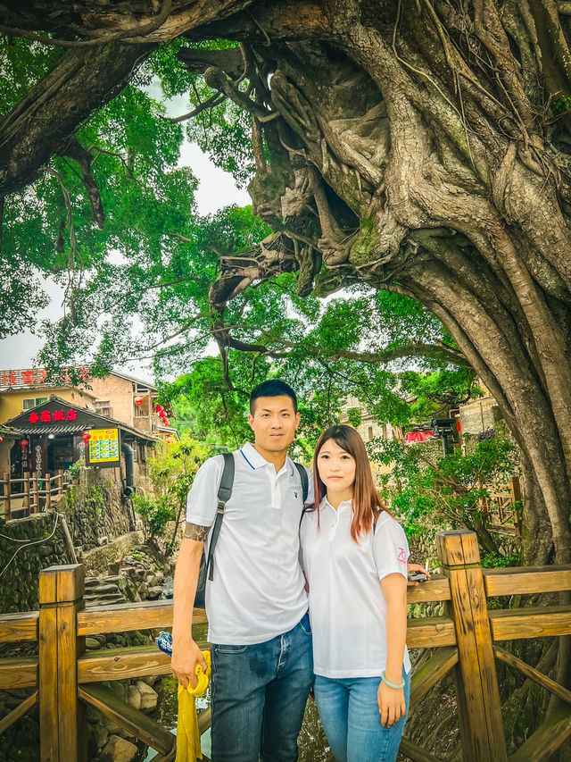 🌿探訪雲水謠古鎮｜古榕守護·情人橋畔·土樓記憶