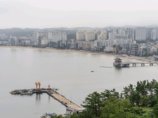 🇰🇷 포항 스카이워크 & 영일대 해수욕장 🌊🌅 🇰🇷 포항 스카이워크 & 영일대 해수욕장 🌊🌅