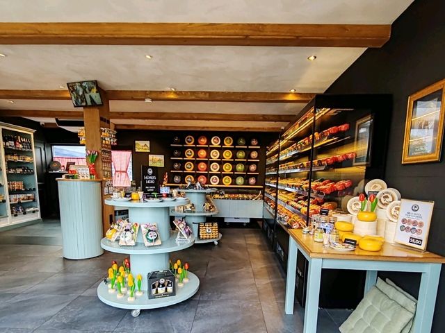 Savoring the Delights of Cheese