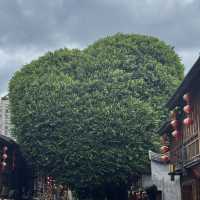 8 Days in Fuzhou