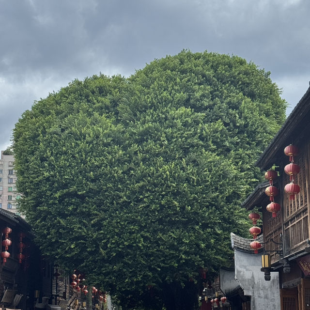 8 Days in Fuzhou